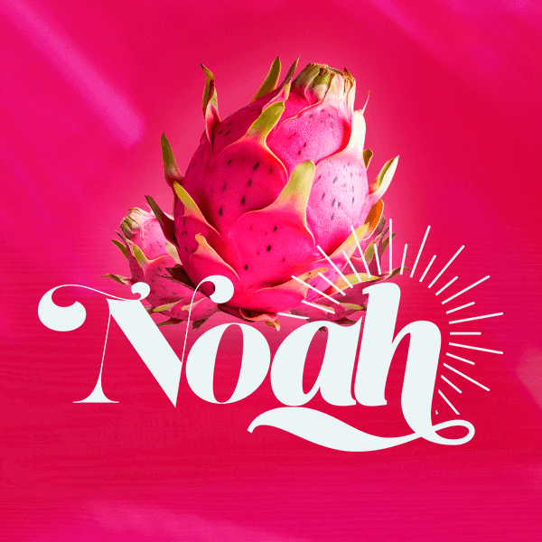 NOAH! image}